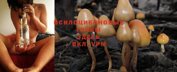 крисы Балабаново