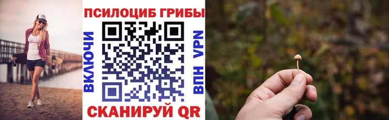 Галлюциногенные грибы GOLDEN TEACHER  darknet какой сайт  Сковородино  как найти закладки 